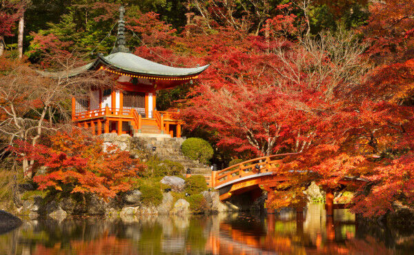 ภาพขนาดย่อ